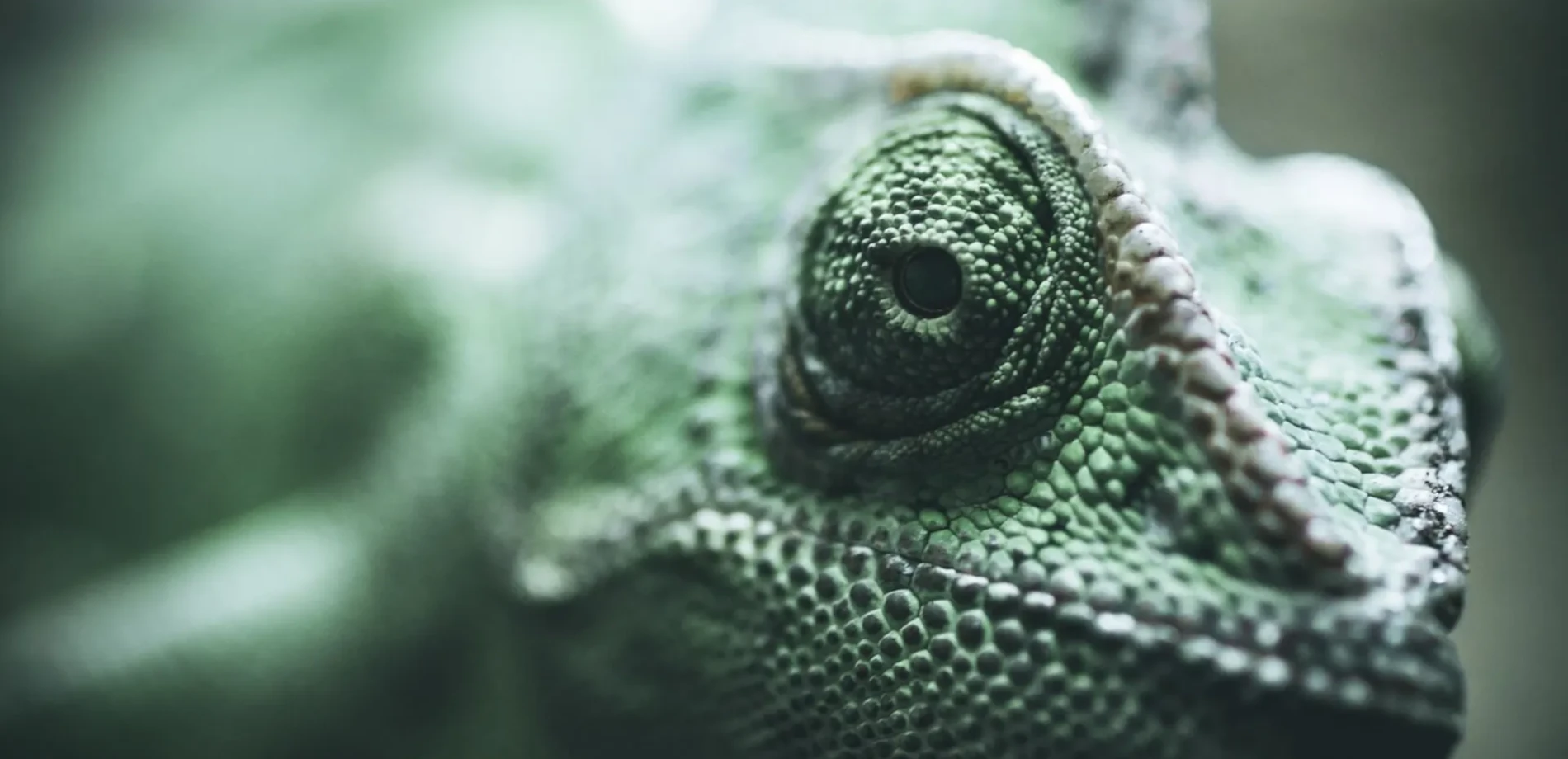 3DViewStation : Le caméléon de la visualisation CAO
